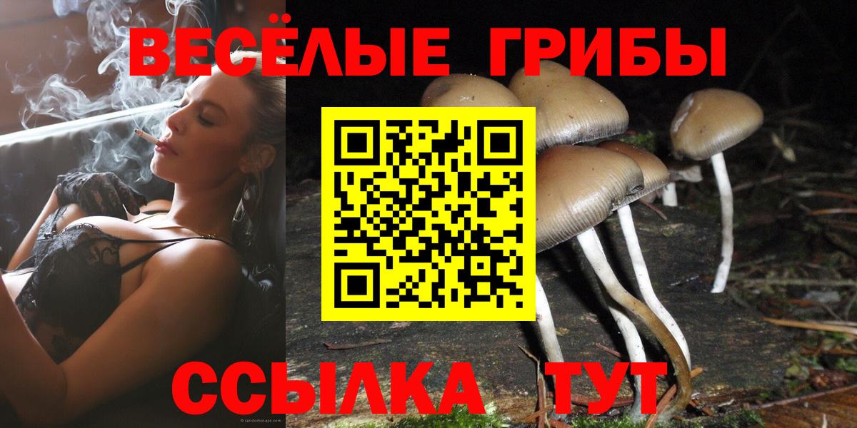 Лесозаводск  Галлюциногенные грибы ЛСД  Вход с VPN  Псилоцибиновые грибы Cubensis 